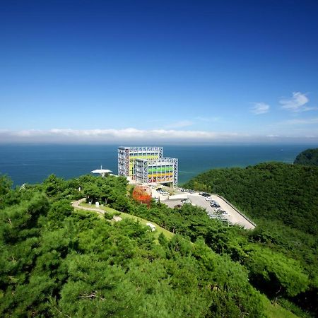 Haslla Art World Museum Hotel Gangneung Exterior foto